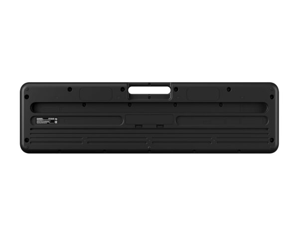 Casio CT-S100 Casiotone 61-Key Portable Keyboard (Black)