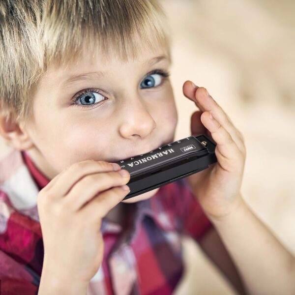Deoxys Harmonica Mouth Organ Musical Instrument Titanium Copper Core Harmonica C Key 10 Hole 20 Tone for Beginners Durable Clear Sound
