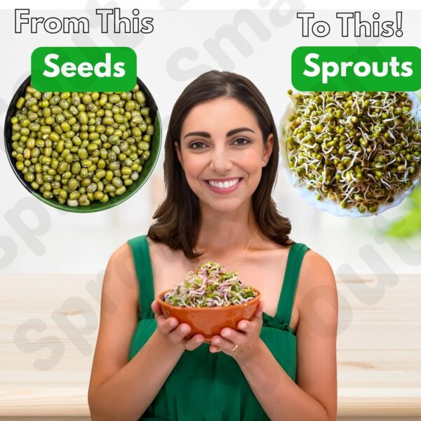 Sprouts Maker Glass Jar – 720ml Durable & Reusable Sprouter for All Seeds and Beans, BPA-Free with 300-Hole Mesh Lid for Airflow, Odor-Free, Easy Drainage, and Hygienic Glass...