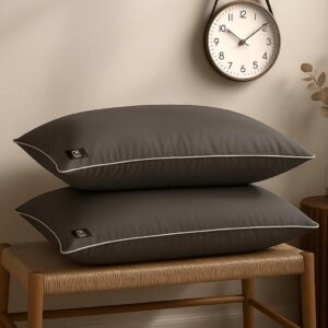 THE WOOD WHITE Grey Pillow Set of 2 with Extra Silver Edge & Soft Microfibre Plush Filling in 41 x 61 Cm | 16" x 24" Inch