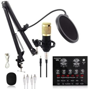 WRADER Professional Studio Condenser Mic Kit with Sound Card Full Setup Microphone for Voice Recording YouTube Videos Interviews Podcast Microphone (Black, Metal Body, Condenser...